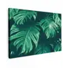 Monstera - Bladeren - Planten - Jungle - Natuur Tuinposter op houten frame 2 cm dik klein -3d
