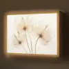 Zonlicht - Paardenbloemen - Natuur - Botanisch Light Box met batterij (Wandlamp) middel -z3d_website