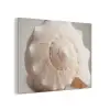 Schelp - Detail - Beige PET vilt klein -3d