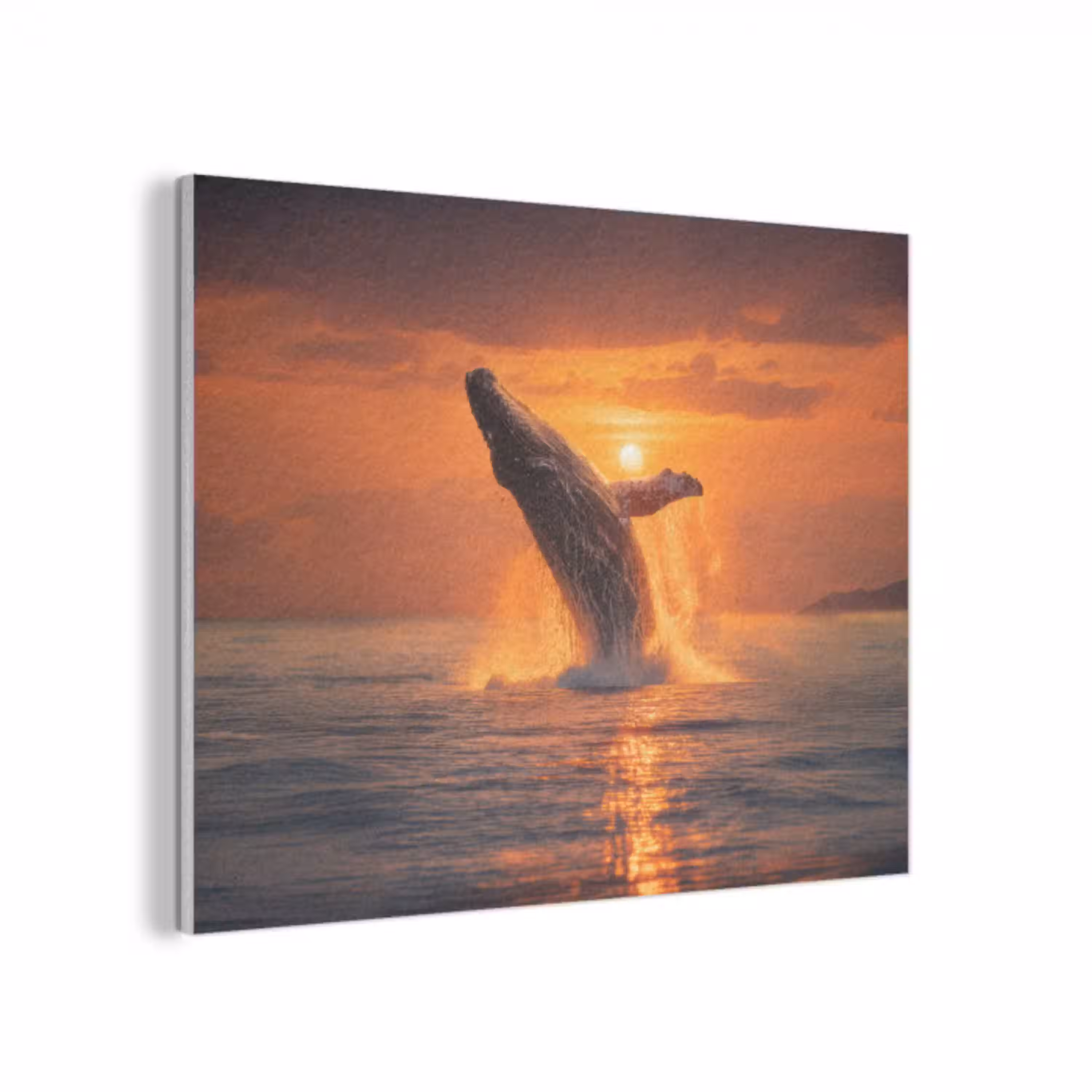 Walvis - Zon - Zee PET vilt klein -3d