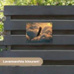 Adelaar - Wolken - Zon tuinposter los doek klein -sfeer3