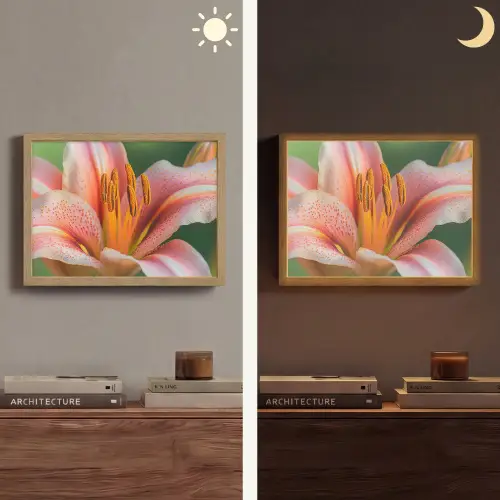 Lelie - Close up - Lichtroze Light Box met batterij (Wandlamp) middel -sfeer3