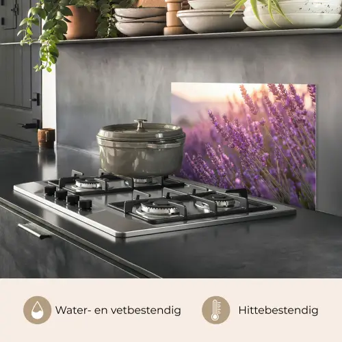 Lavendel - Paars - Zonlicht keuken achterwand spatscherm klein -usp_NL