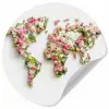 Wereldkaart - Bloemen - Subtiel Wandcirkel behangsticker klein -3d
