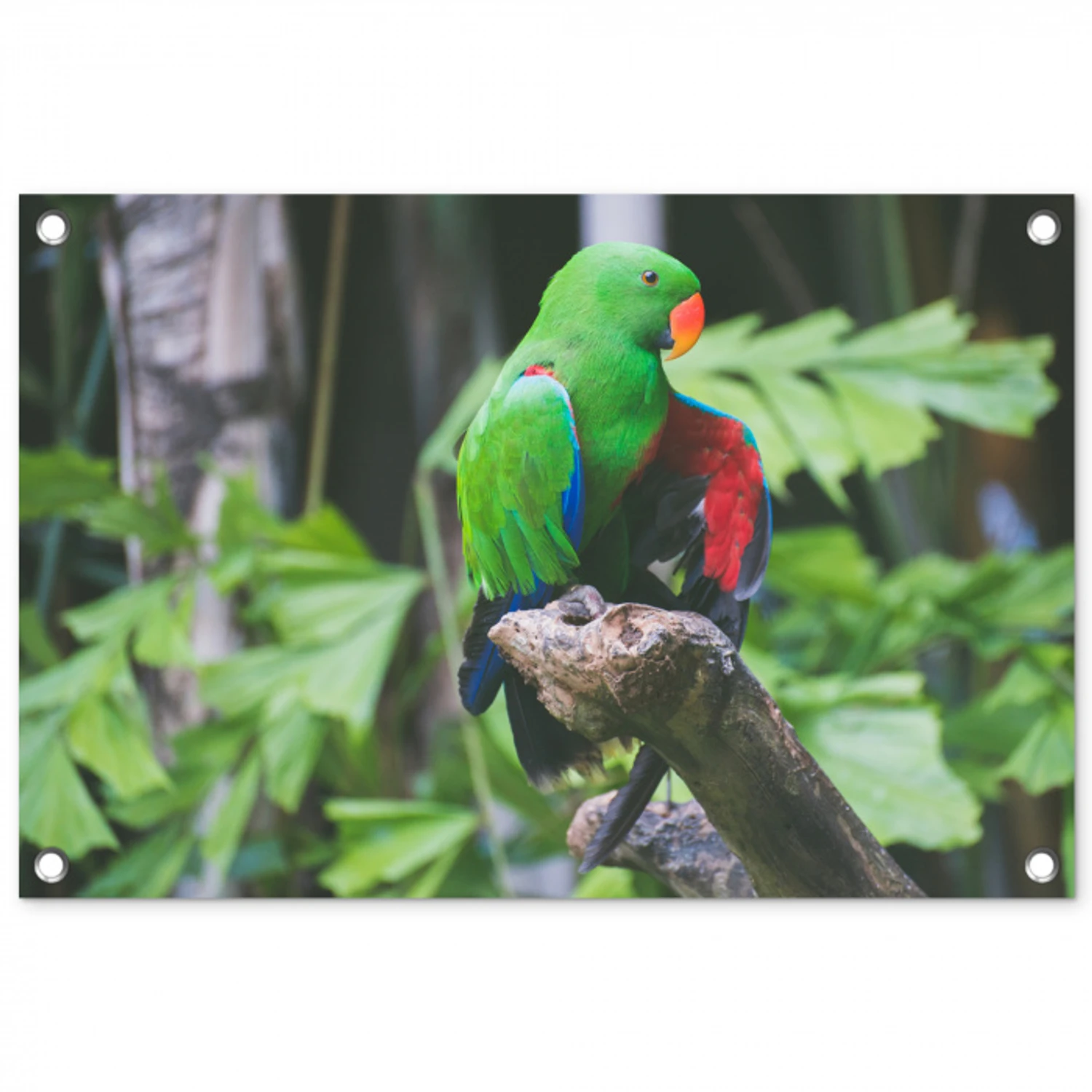 Vogel - Papegaai - Groen tuinposter los doek klein -3d
