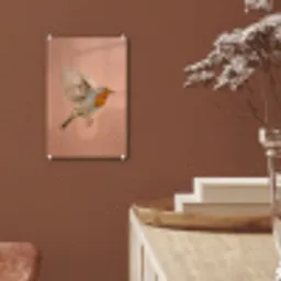 Roodborst - Natuur - Roze plexiglas 5mm klein -sfeer5