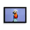 Papegaai - Koksmuts - Vogel - Leuk fotolijst zwart zonder passe partout klein -3d