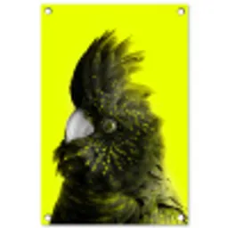 Kaketoe - Vogel - Geel tuinposter los doek klein -3d