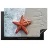 Zeester - Strand - Zee Inductie beschermer vinyl 3mm klein -3d