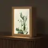 Cactus - Groen - Minimalistisch Light Box met kabel (Tafellamp) klein -z3d_website