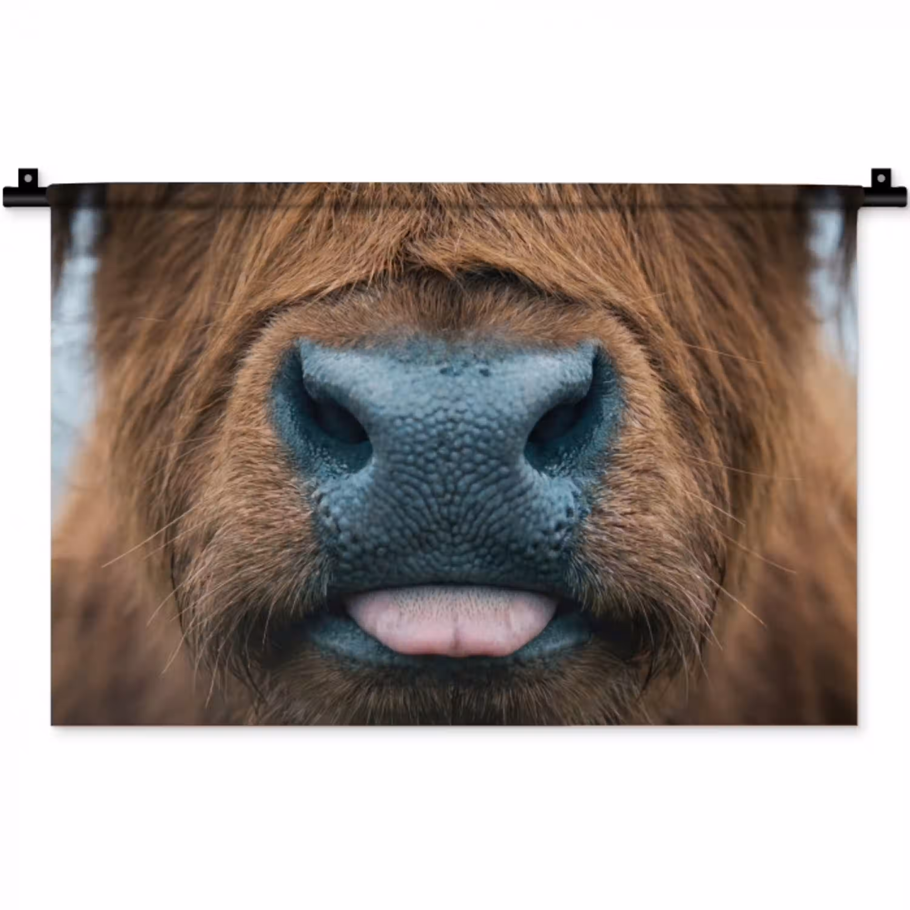 Schotse hooglander - Neus - Bruin Wandkleed katoen klein -zz3d