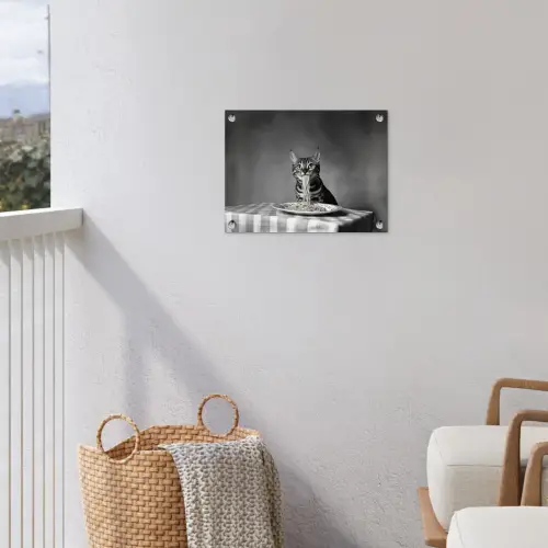 Bengaal - Kat - Tafelkleed - Zwart - Wit - Dier tuinposter los doek klein -sfeer8