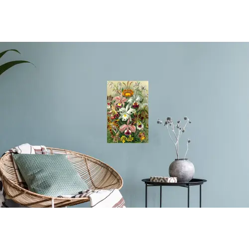 Planten - Natuur - Bloemen - Ernst Haeckel Muursticker klein -plant