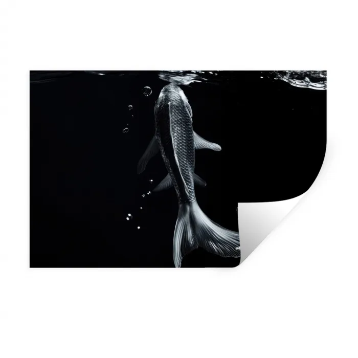 Koi - Vissen - Water - Zwart Muursticker klein -3d
