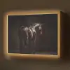 Krachtig - Paard - Donker Light Box met batterij (Wandlamp) middel -z3d_website