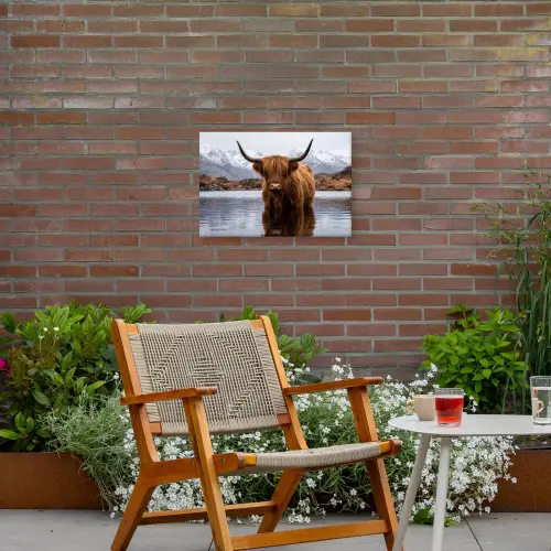 Schotse hooglander - Bruin - Water Tuinposter op houten frame 2 cm dik klein -sfeer3