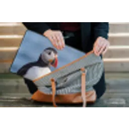 Papegaaiduiker - Portret - Natuur laptophoes neopreen klein -tas