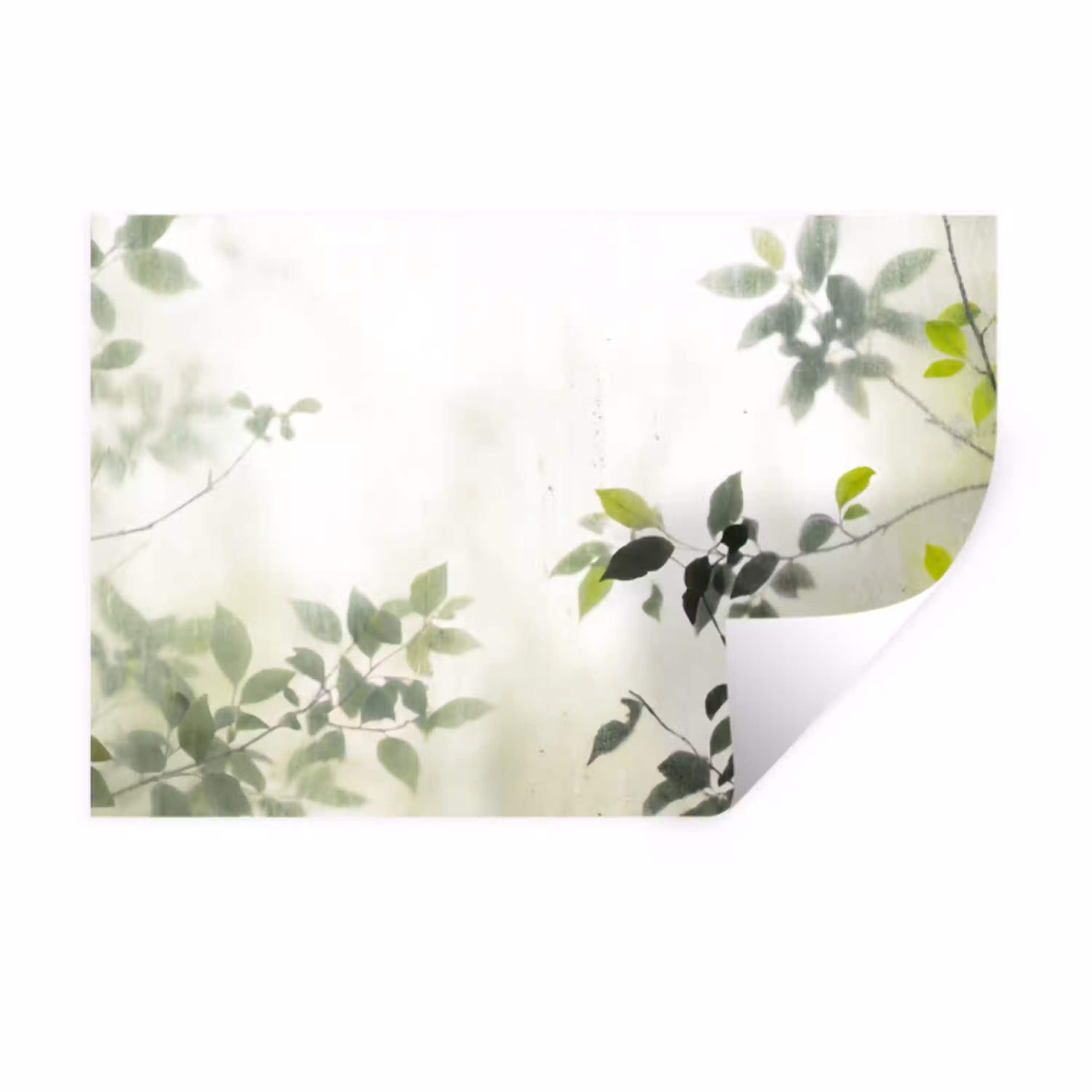 Blad - Schaduw - Natuur - Abstract - Groen Muursticker klein -3d