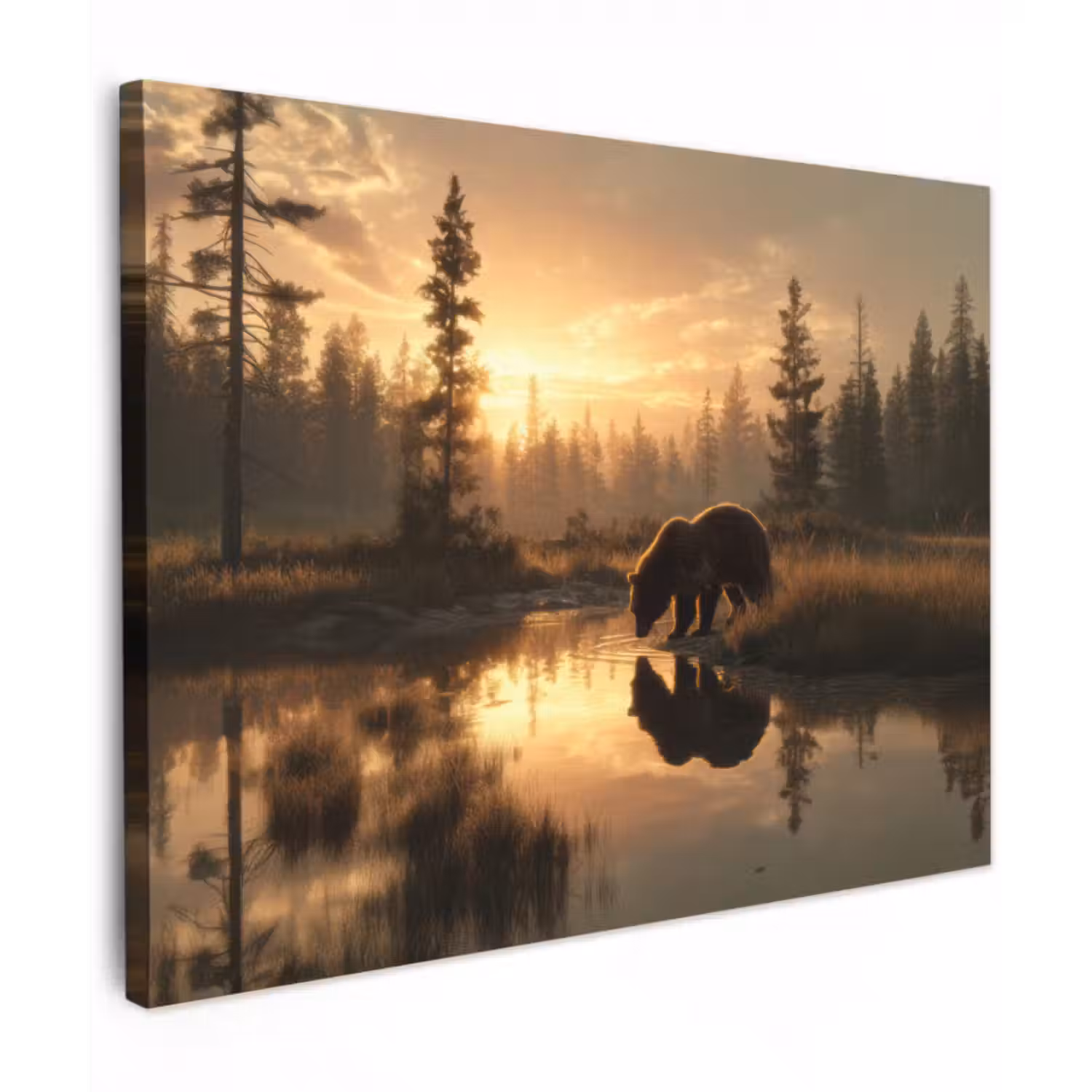 Leinwandbild - Bär - Wasser - Wald - Morgenlicht