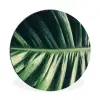 Tropisch - Inductie mat - Natuur - Inductie beschermer - Jungle Wandcirkel aluminium klein -3d