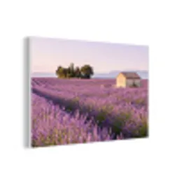 Lavendel - Landschap - Sereen - Paars forex 5mm xxl -3d