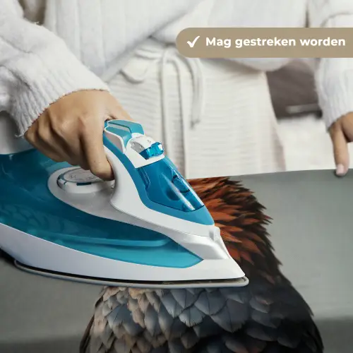 Vogel - Realistisch - Veren - Bruin Wandkleed katoen klein -sfeer9