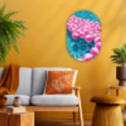 Strandballen - Roze - Water Wandcirkel Ovaal Forex klein -sfeer4