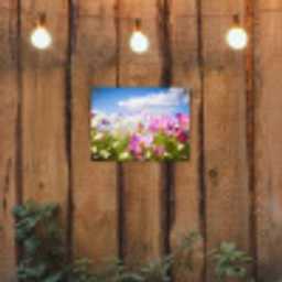 Veld vol kleurrijke bloemen tuinposter los doek klein -sfeer1
