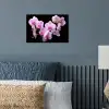 Orchidee - Bloemen - Roze - Flora poster papier klein -sfeer2