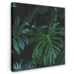 Monstera -  Inductie beschermer - Bladeren - Tropical - Afdekplaat voor kookplaat Tuinposter op houten frame 2 cm dik klein -3d