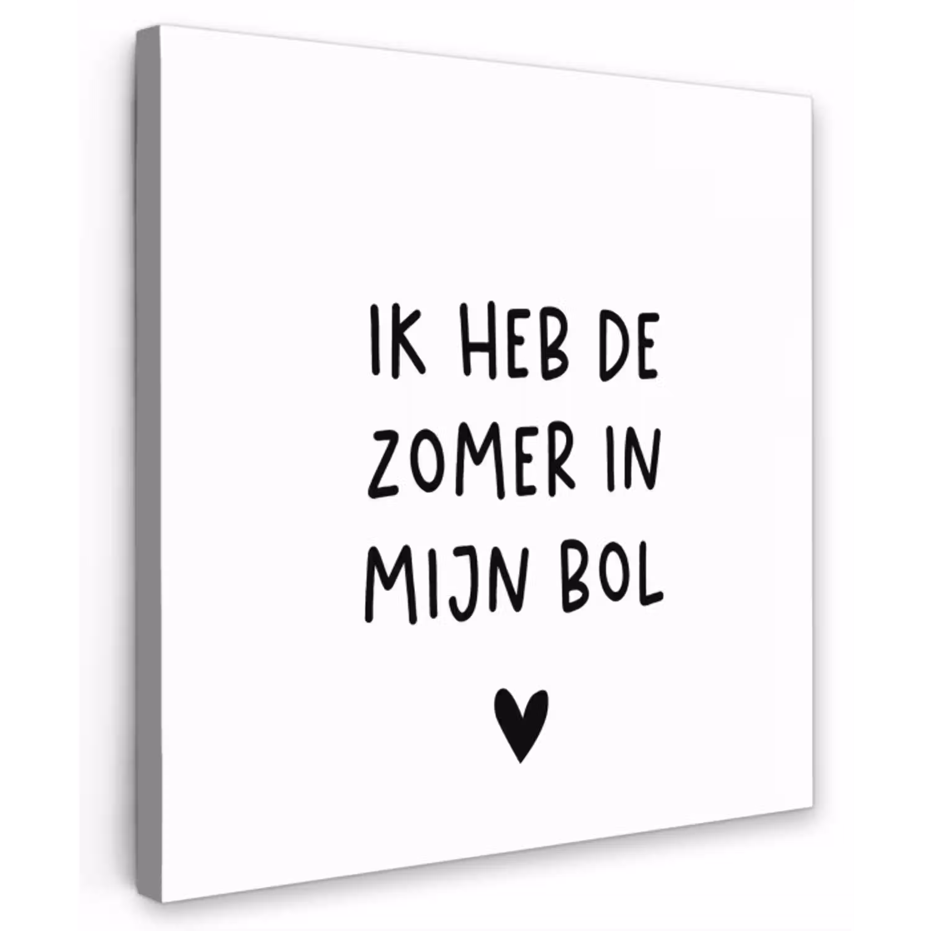 Ik heb de zomer in mijn bol - André Hazes - Spreuken - Quotes Tuinposter op houten frame 2 cm dik klein -3d