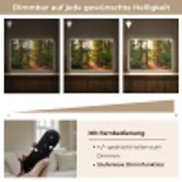 Bos - Pad - Bomen - Groen - Zon - Natuur Light Box met batterij (Wandlamp) middel -USP_dimbaarDE