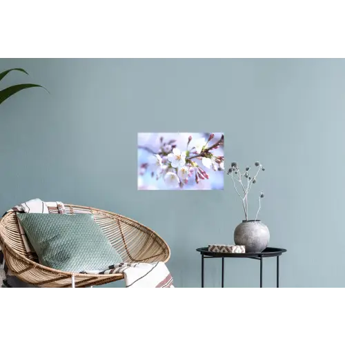 Bloemen - Sakura - Tak - Bloesem takken Muursticker klein -plant