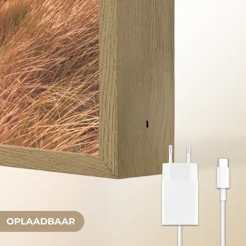 Duin - Planten - Zonsondergang - Strand - Zee Light Box met batterij (Wandlamp) middel -USP_websiteoplaadbaarNL
