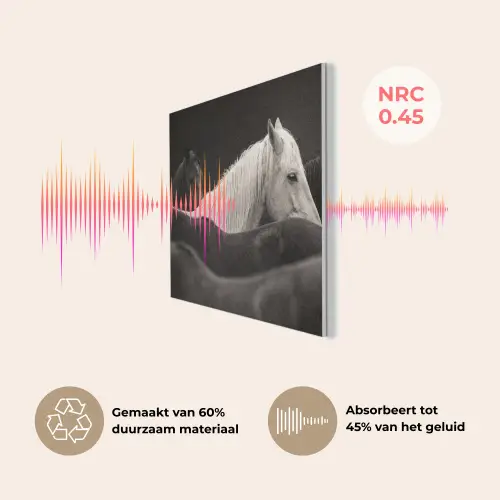 Paarden - Zwart - Wit - Kudde PET vilt klein -USP_NL