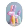 Dier - Ballon - Pasteltinten - Glanzend Wandcirkel Ovaal Forex klein -3d