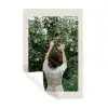 Boom - Appels - Plukken - Natuur Muursticker klein -3d