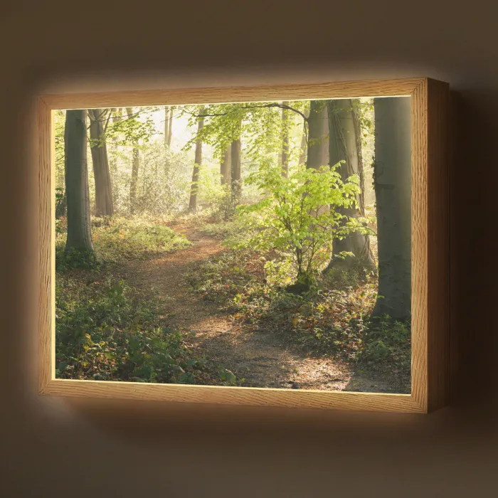 Bos - Bomen - Pad - Zon - Planten - Bladeren - Natuur Light Box met batterij (Wandlamp) middel -z3d_website
