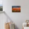 Zonsondergang - Klaprozen - Rood - Bloemen - Veld - Natuur tuinposter los doek klein -sfeer8