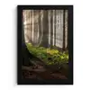 Zon - Takken - Bomen - Bos - Natuur fotolijst zwart zonder passe partout klein -3d