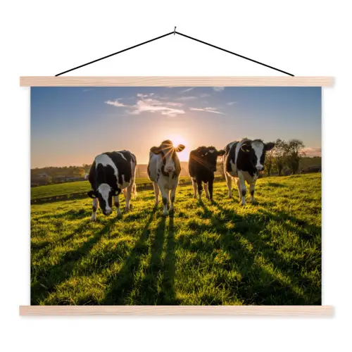 Koeien - Zon - Gras - Dieren - Boerderij textielposter latten blank klein -3d