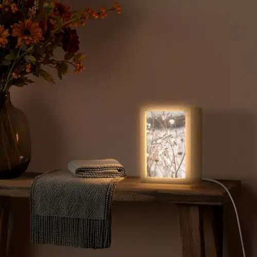 Droogbloemen - Wit - Planten Light Box met kabel (Tafellamp) klein -sfeer4
