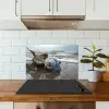 Schelp - Strand - Blauw - Zee keuken achterwand spatscherm klein -sfeer2