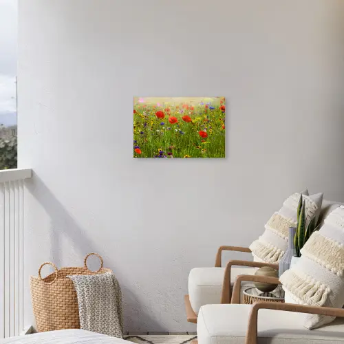 Lente - Bloemen - Rood - Klaproos - Gras - Groen Tuinposter op houten frame 2 cm dik klein -sfeer1
