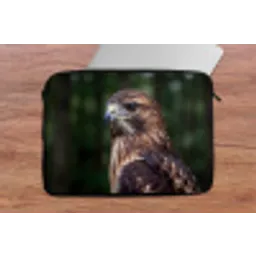 Buizerd - Roofvogel - Natuur - Bruin laptophoes neopreen klein -tafel
