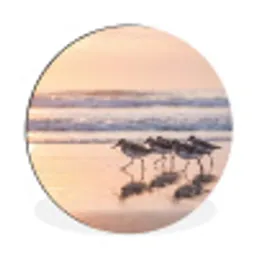 Zee - Vogels - Strand Wandcirkel aluminium klein -3d