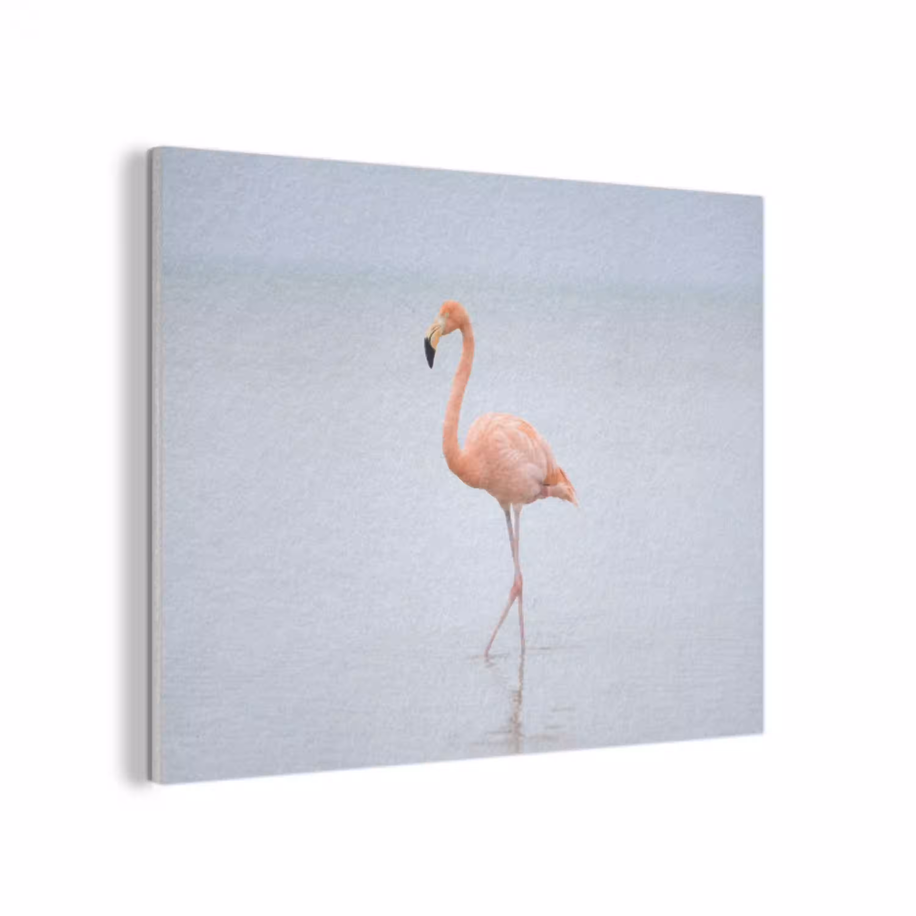 Flamingo - Zee - Roze PET vilt klein -3d