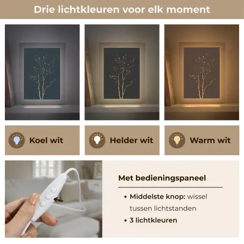 Takken - Blaadjes - Zwart Light Box met kabel (Tafellamp) klein -USP_lichtkleurNL