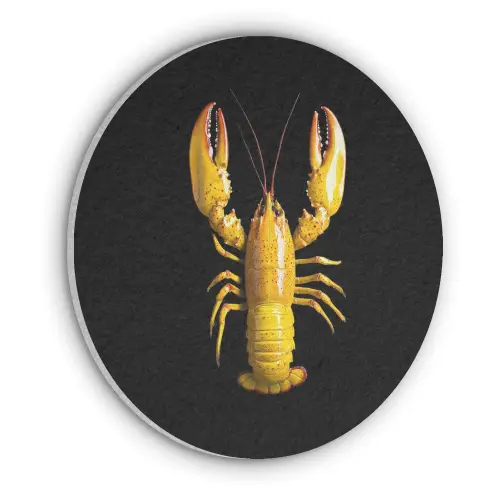 Kreeft - Geel - Stippen - Effen Akoestische PET Vilt - Rond klein -3d