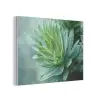 Blad - Plant - Groen - Textuur PET vilt klein -3d
